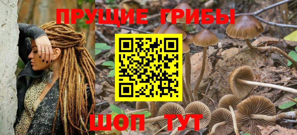 Галлюциногенные грибы GOLDEN TEACHER Саратов