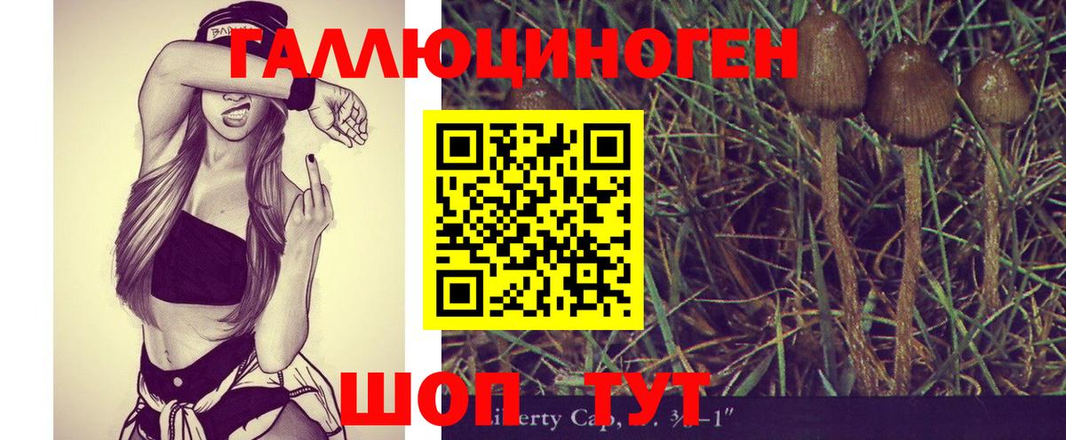 купить   Вход с VPN  Саратов  Галлюциногенные грибы MAGIC MUSHROOMS 